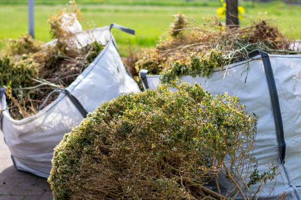 Demolition Debris Removal in North Kingsville, OH